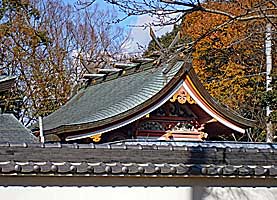 平野八幡神社本殿左より
