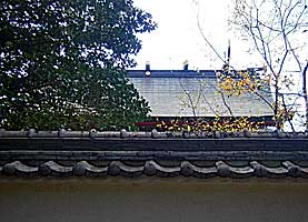 平野八幡神社本殿背面