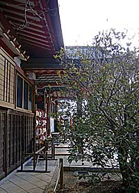 平野八幡神社拝殿向拝右側面