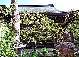 生田一宮神社拝殿右側面