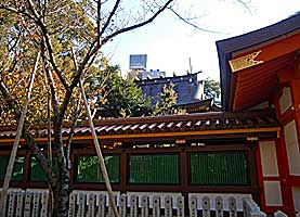 生田神社本殿左側面