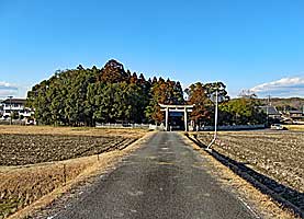 垣田神社社域