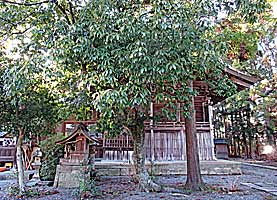 垣田神社本殿左背面