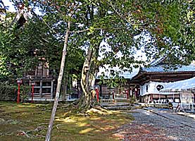 播州加西日吉神社社殿全景右側面
