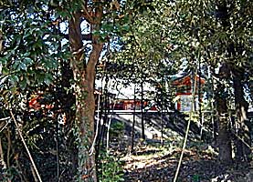 川辺鴨神社社殿全景左側面