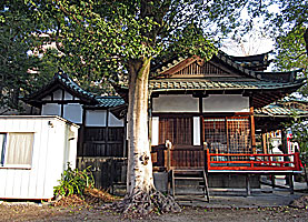 甲子園八幡神社社殿全景右側面