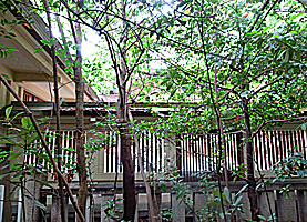 湊川神社本殿左側面