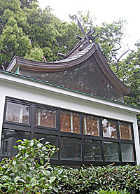 水堂須佐男神社本殿左側面