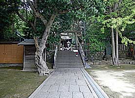 瑞丘八幡神社参道