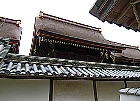 室津賀茂神社本殿左背面