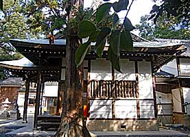 生瀬皇太神社拝殿左側面
