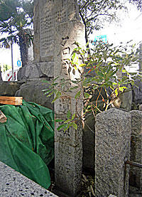 尾濱八幡神社名月姫墓碑