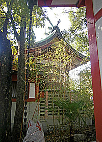 尾濱八幡神社本殿左側面