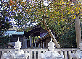 洲本八幡神社本殿左側面