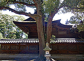 高砂神社本殿右側面