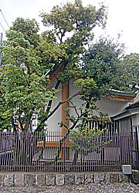 徳井神社本殿右側面