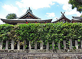 戸ノ内素盞嗚神社社殿全景左側面