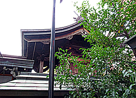 南宮宇佐八幡神社（脇浜神社）本殿左側面