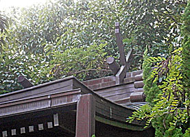 山手熊野神社（宇治野山熊野神社）本殿千木