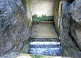 鹿島神宮御手洗池湧水