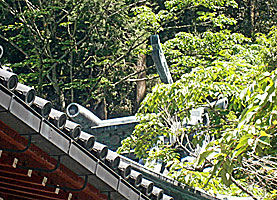 箱根神社本殿千木