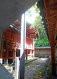 箱根神社本殿左より