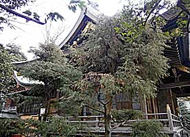 前鳥神社拝殿右側面