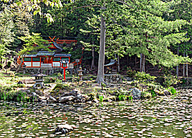 大原野神社鯉沢の池