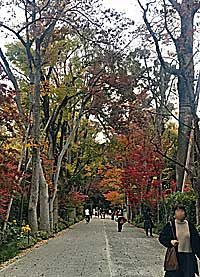 賀茂御祖神社糺の森参道