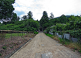 檜原神社社域