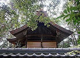 讃岐神社本殿左側面