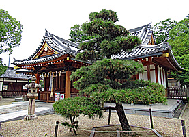 田原本津島神社拝殿近景左より