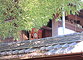 柳澤神社本殿