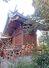 鎮守氷川神社（青木氷川神社)本殿左背面