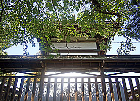 武蔵第六天神社本殿背面