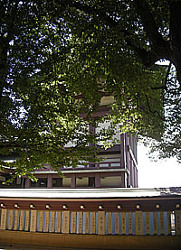 新宿諏訪神社本殿側面
