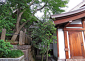 代田八幡神社社殿全景右側面