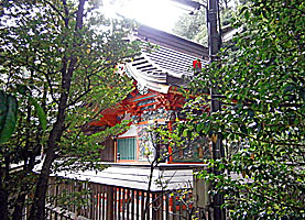 拝島山王日吉神社本殿左背面