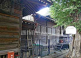 平井天祖神社（平井天祖香取神社）本殿左より
