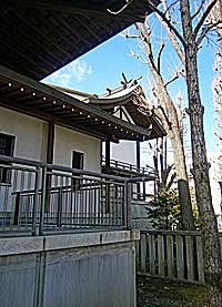 亀戸香取神社本殿遠景左より
