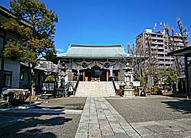 亀戸香取神社拝殿遠景