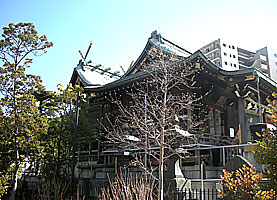 亀戸浅間神社社殿右側面