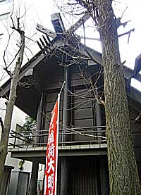 高円寺氷川神社本殿右側面