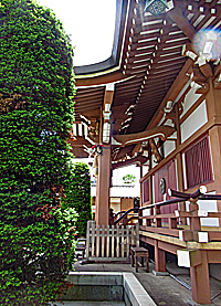 高ヶ坂熊野神社拝殿向拝左側面