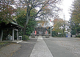 恋ヶ窪熊野神社参道