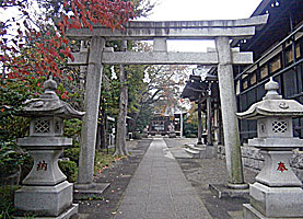 恋ヶ窪熊野神社鳥居