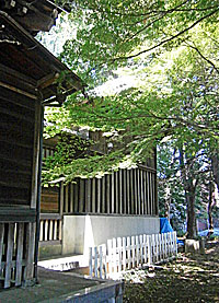前野東熊野神社本殿