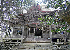 住吉神社琴平神社合社（宮尾神社）拝殿左より