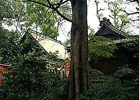 長崎神社社殿側面