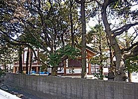 奥戸天祖神社社殿右側面